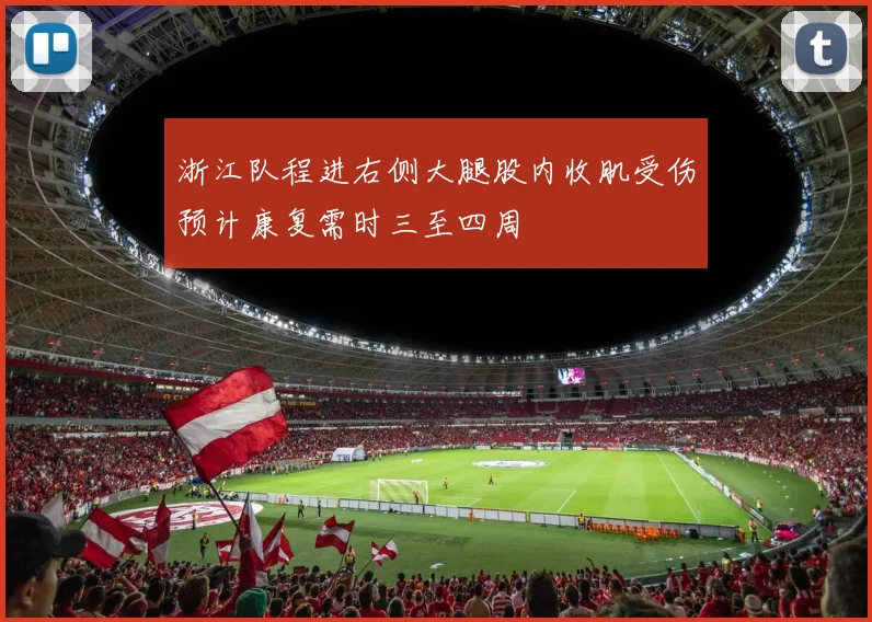 浙江队程进右侧大腿股内收肌受伤预计康复需时三至四周